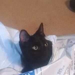 Meet your Posher, Diane